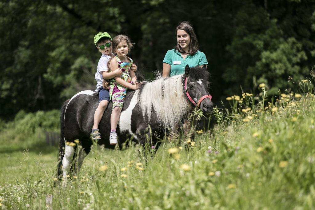 Sporthotel By Alpenlodge Brand  Zewnętrze zdjęcie